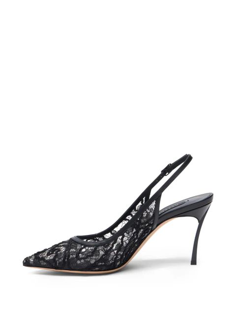 Casadei Chantilly Blade lace heel pumps - Black