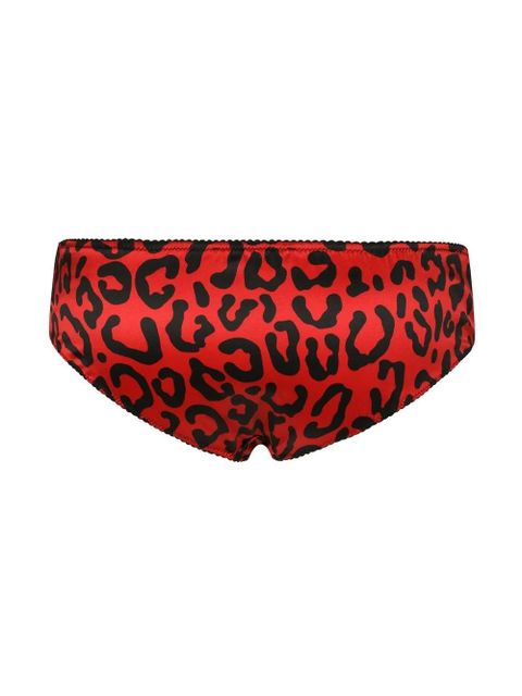 Dolce & Gabbana leopard-print briefs - Red