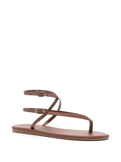 Ancient Greek Sandals Kallisti wrap-around sandals - Brown