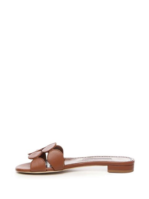 Manolo Blahnik Haribalmu slides - Brown