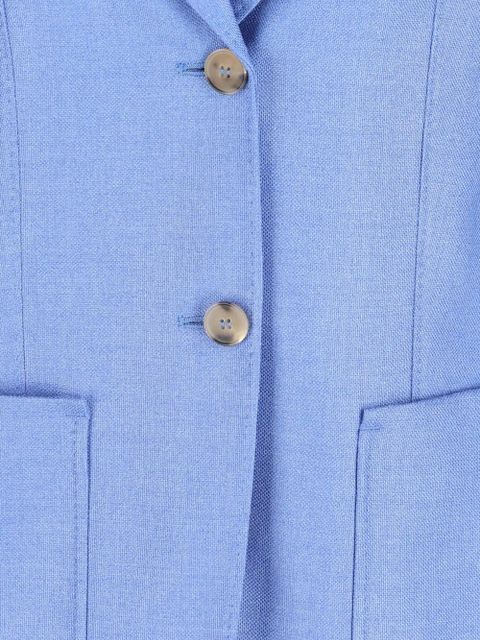 Max Mara single-breasted blazer - Blue