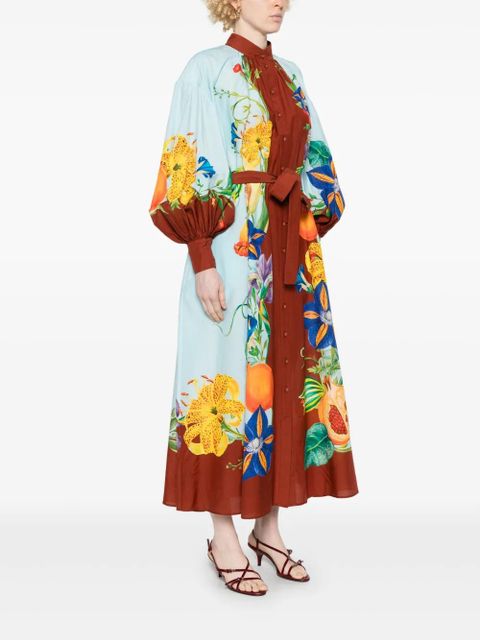 ALEMAIS Dahlia maxi dress - Blue