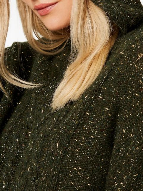 TWINSET cable-knit hooded sweater - 12930 MUL.