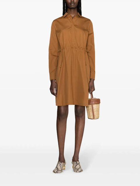 Max Mara classic-collar shirt minidress - Brown