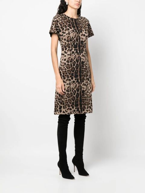 Dolce & Gabbana leopard-jacquard short-sleeved dress - Brown