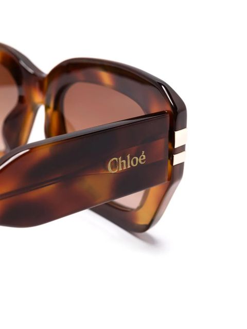 Chloé Eyewear CH0256S sunglasses - Brown