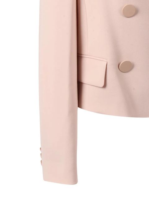 Max Mara Caprera double-breasted jacket - Pink
