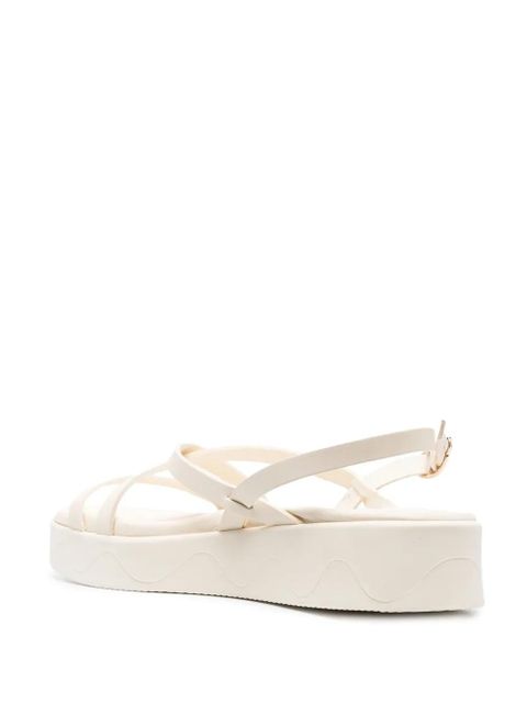 Ancient Greek Sandals Silia buckle-fastening sandals - Neutrals - zdjęcie produktu nr 2