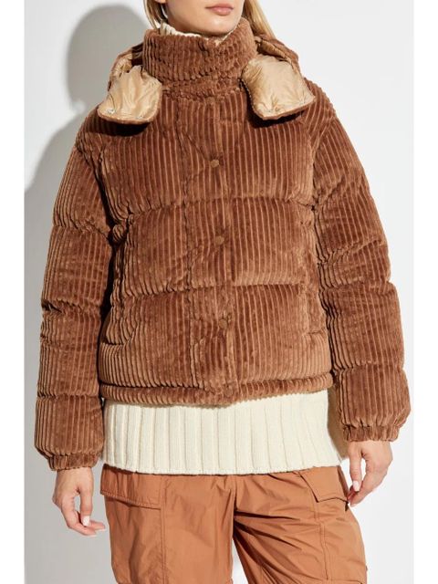 Moncler Daos jacket - Brown