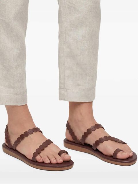 Ancient Greek Sandals multi-strap leather sandals - Brown