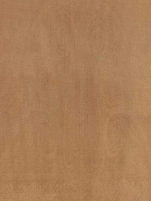 Max Mara fringed stole - Brown