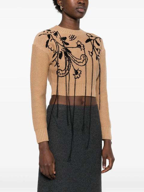 Max Mara embroidered sweater - Brown