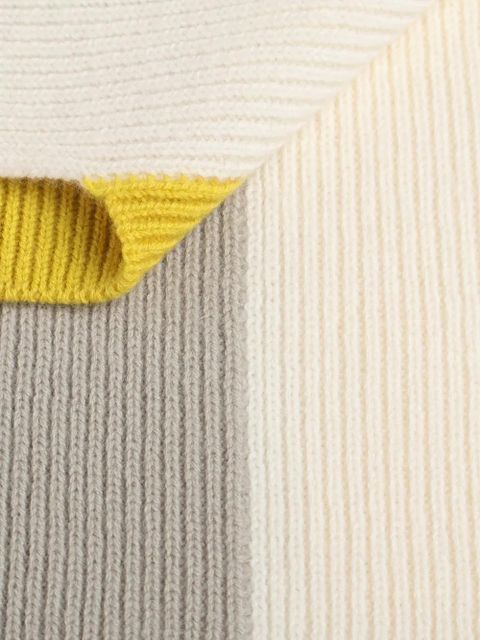 LOEWE colourblock ribbed scarf - Neutrals