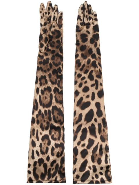 Dolce & Gabbana leopard-print long gloves - Brown - zdjęcie produktu nr 1