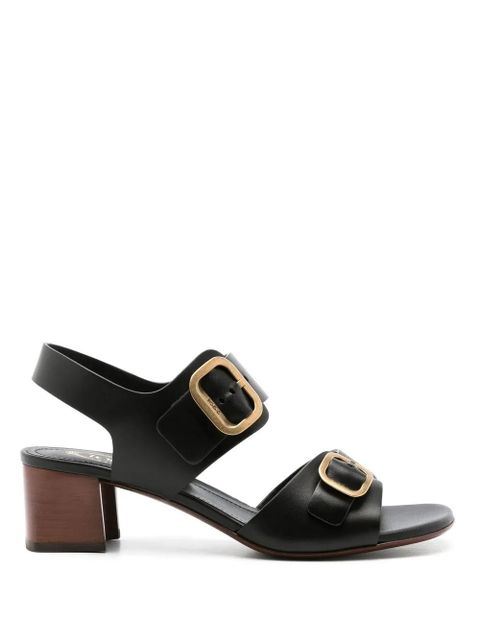Tod's buckle-detail block sandals - Black - zdjęcie produktu nr 1