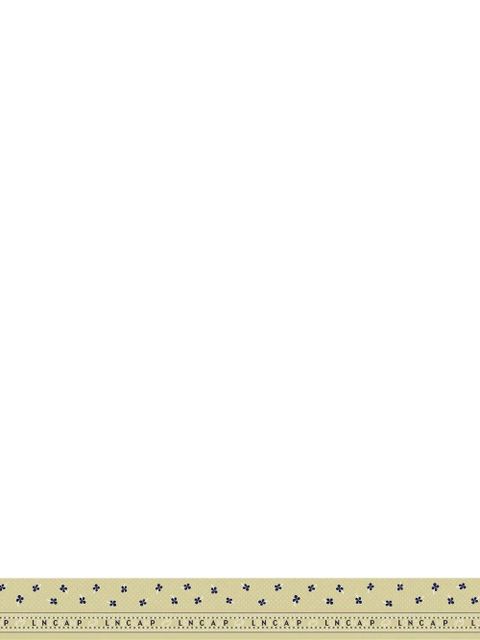 Longchamp French Bandana scarf - Green