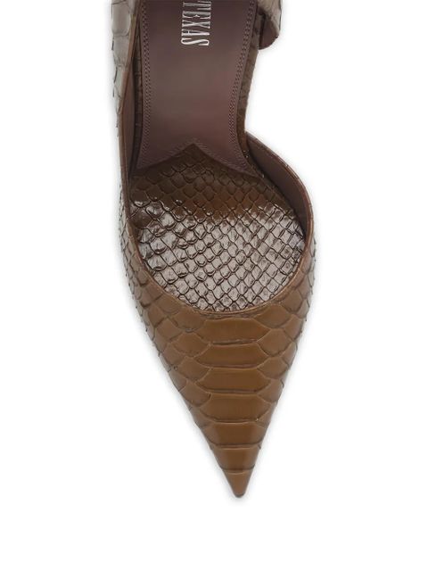 Paris Texas pointed pumps - Brown
