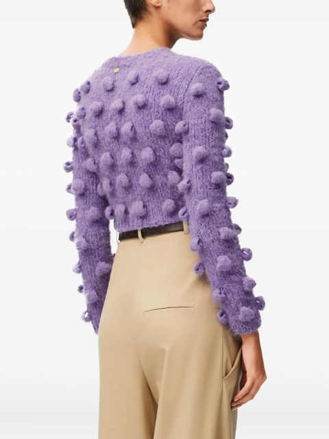LOEWE bobble knit sweater - Purple