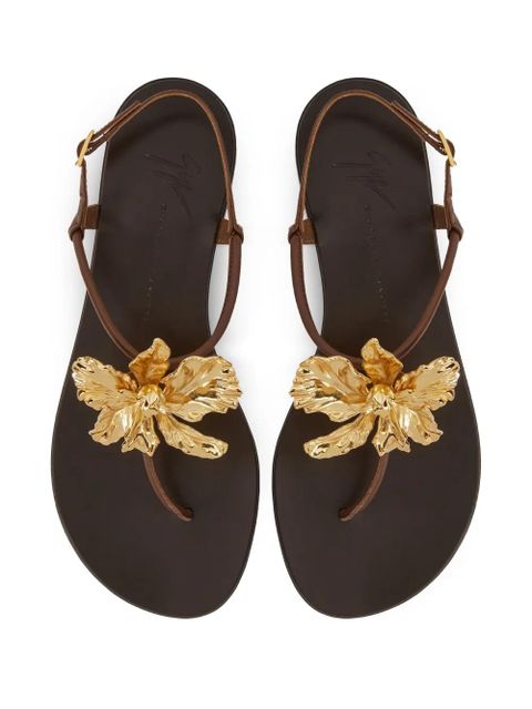 Giuseppe Zanotti Orchid sandals - Brown