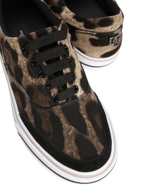 Dolce & Gabbana DG Sailing sneakers in printed canvas - Brown