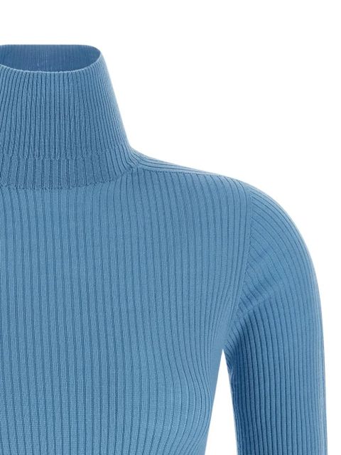 Sportmax ribbed-knit turtleneck top - Blue