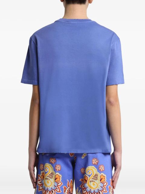 ETRO x Agostino Iacurci printed T-shirt - Blue