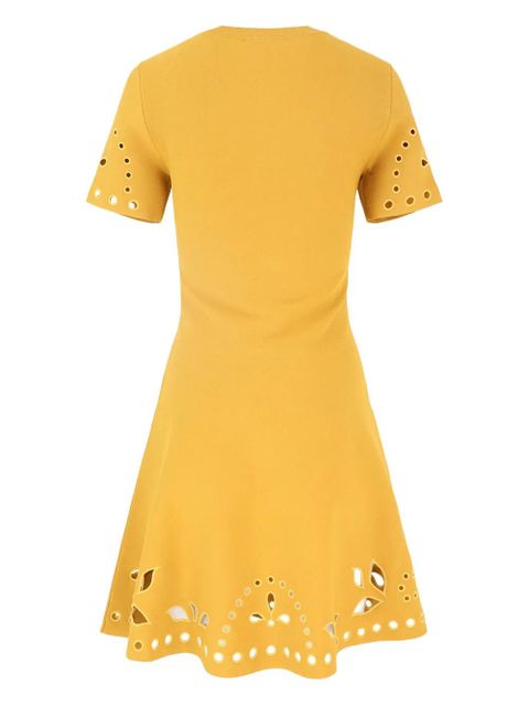 Ulla Johnson eyelet-embellished mini dress - Yellow - zdjęcie produktu nr 2