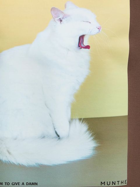 MUNTHE t-shirt RAPLOI damski kolor brązowy 254112525463